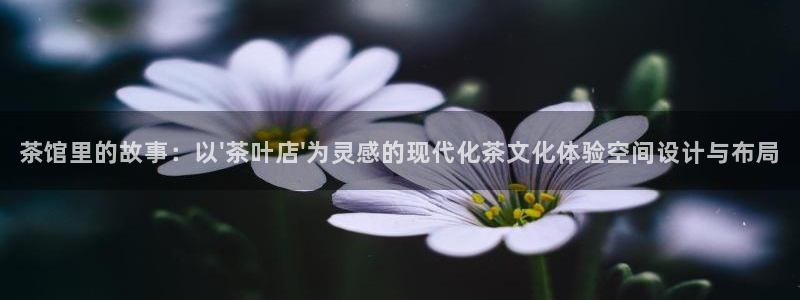 鸿运茶叶平台被骗