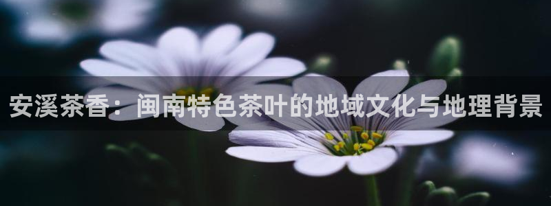 鸿运网络麻将平台