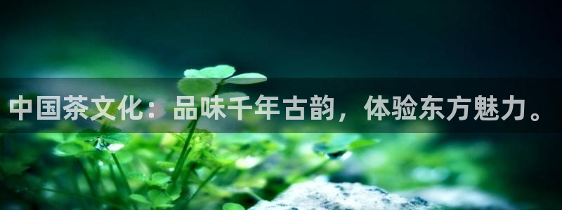 鸿运食品团购平台