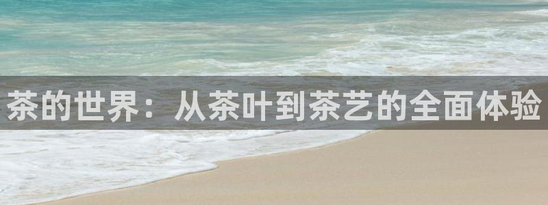 琥珀鸿运平台怎样赚钱的