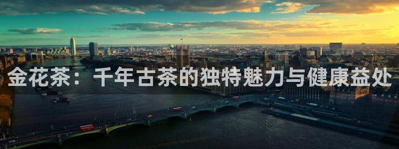 鸿运平台娱乐