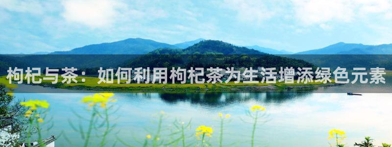 鸿运推广平台代理
