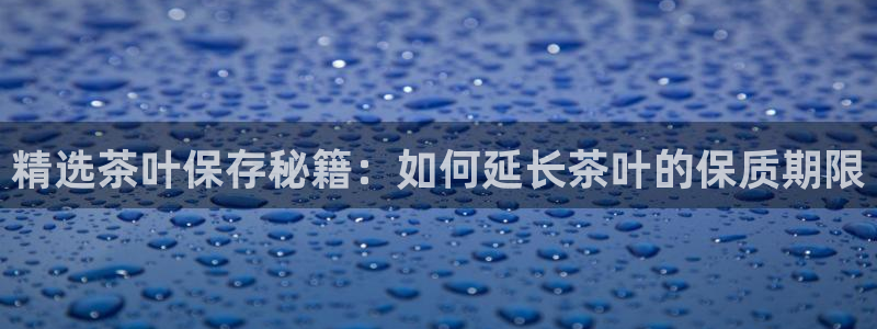 众信鸿运平台