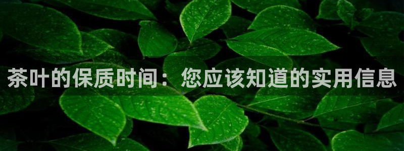鸿运平台靠谱吗