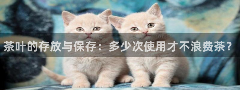 鸿运到平台被骗