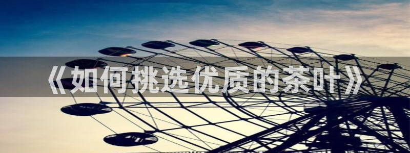 鸿运娱乐平台