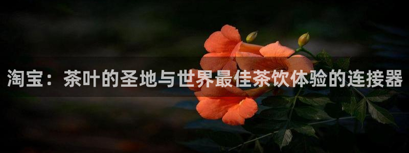 鸿运app直播平台