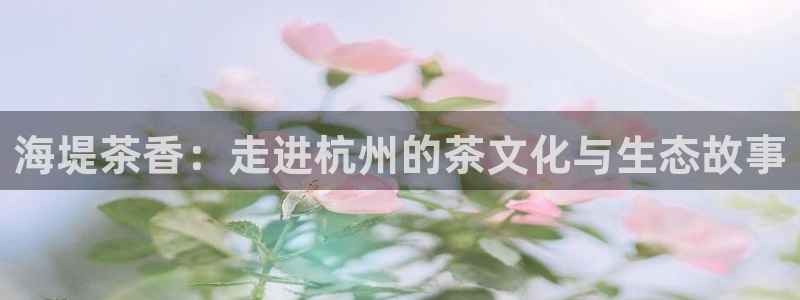 2018鸿运平台