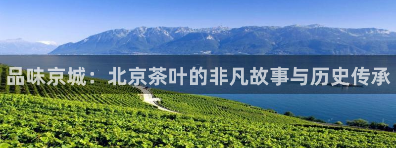 祝火山平台鸿运