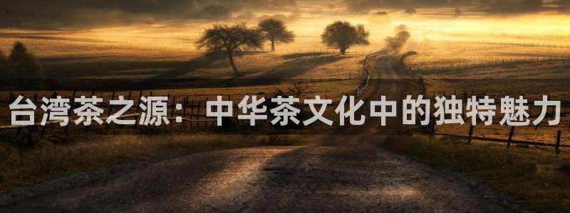鸿运购彩专业平台