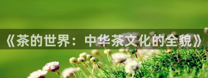 鸿运棋牌平台下载