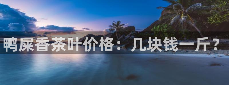 鸿运平台网投