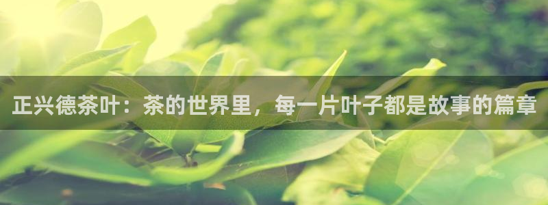 鸿运网是什么平台