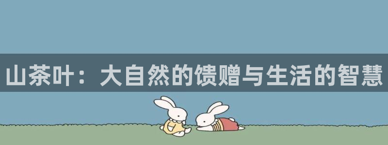 铜陵鸿运拍卖平台