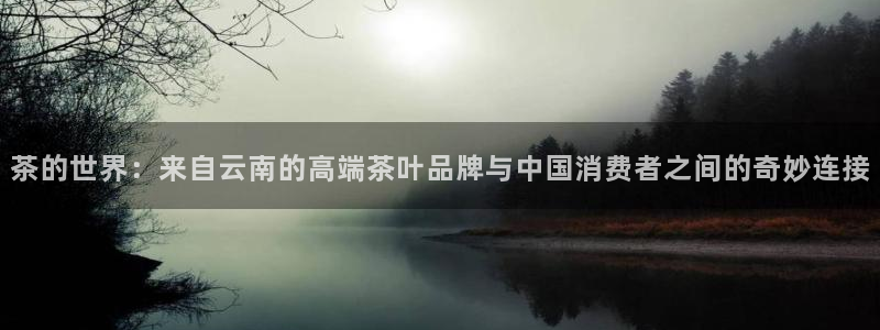 鸿运彩票平台代理