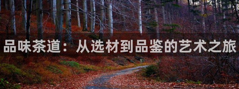 鸿运讲堂平台