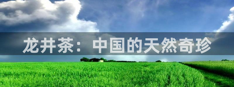 鸿运平台推荐