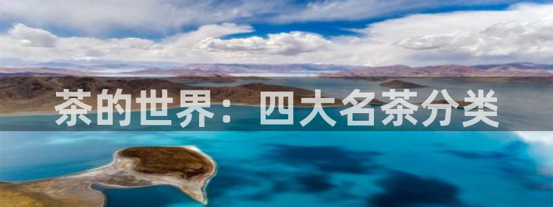 鸿运商会直播平台
