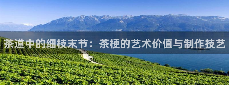 鸿运28微信平台