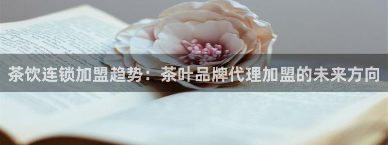 新鸿运娱乐平台
