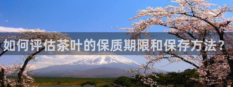 鸿运当头网贷平台