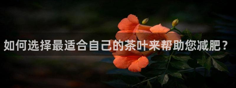 鸿运住宿团购平台