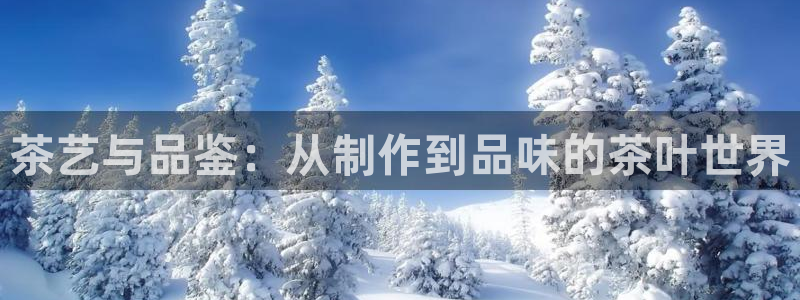 鸿运集团平台