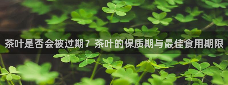 鸿运最新平台是什么