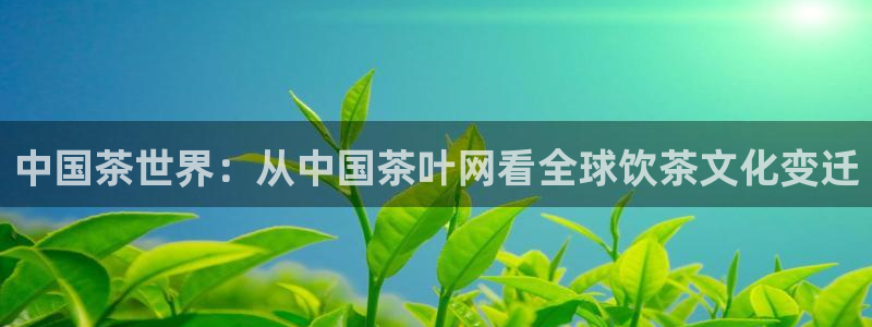 琥珀鸿运平台怎样赚钱的