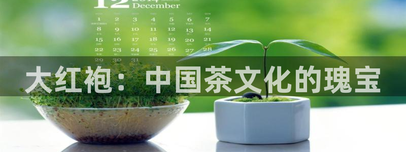 鸿运服务平台是什么