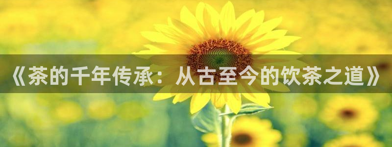 鸿运平台被黑