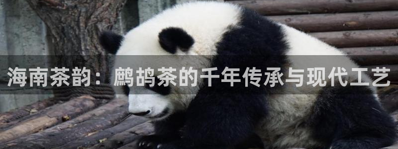鸿运赌城开户平台