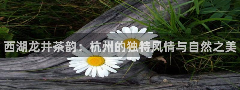 鸿运自助卡密平台