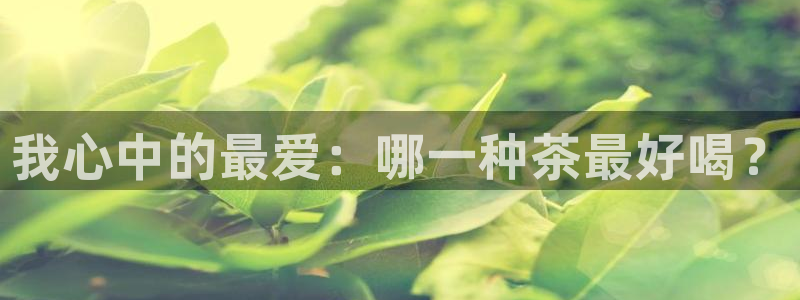 琥珀鸿运平台登录页面