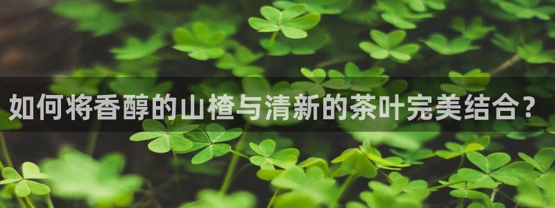 鸿运快三计划平台