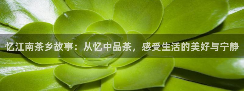 鸿运体育平台网址是什么