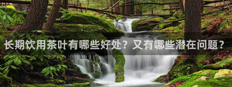 琥珀鸿运平台靠谱吗