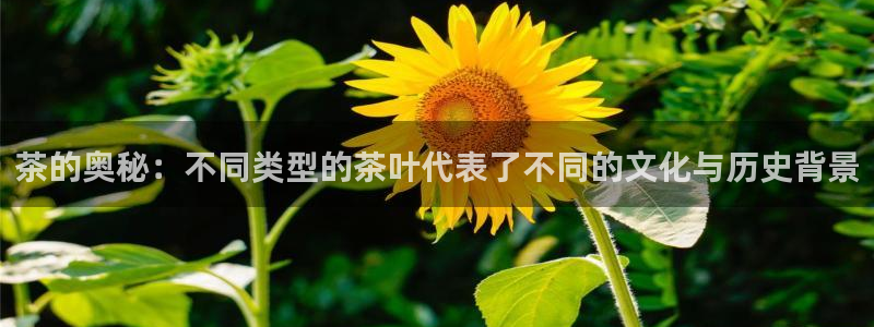 鸿运体育平台