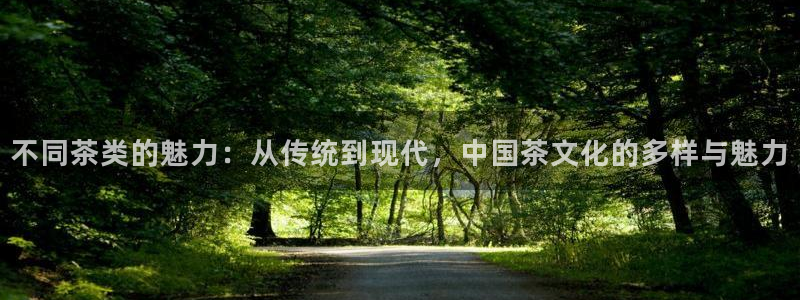 鸿运团队赚钱平台