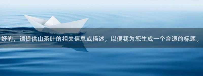 鸿运交易平台
