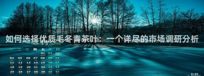 鸿运聊平台