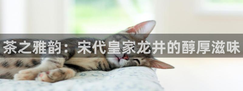 鸿运阿姨直播平台