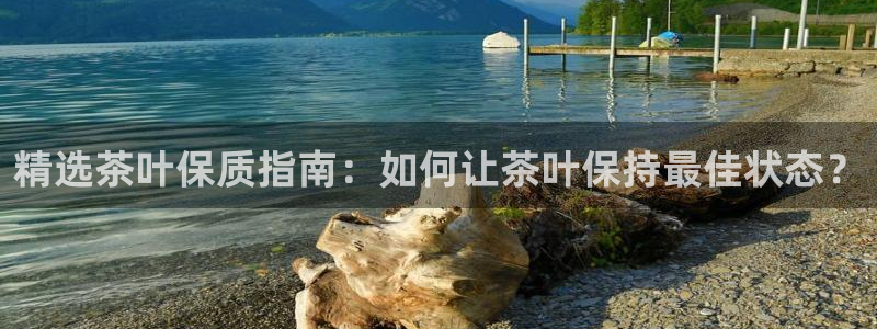 国际鸿运手机版平台