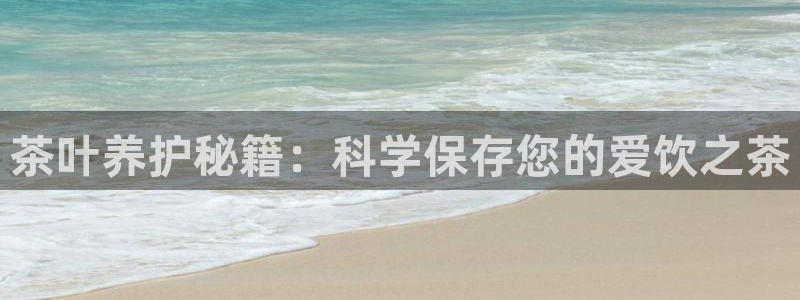 鸿运交易平台app