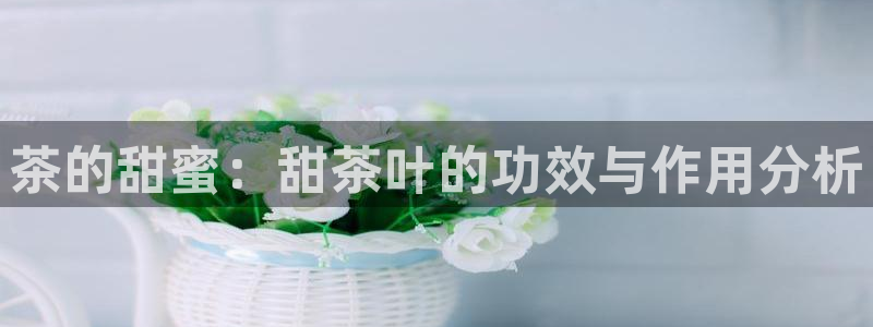 新鸿运股票平台