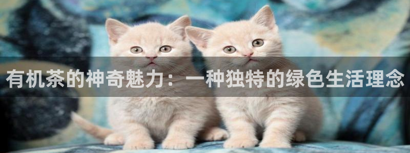 鸿运手游平台