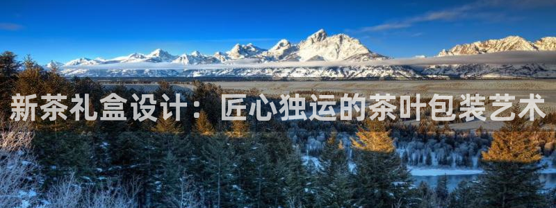 鸿运平台代还骗局