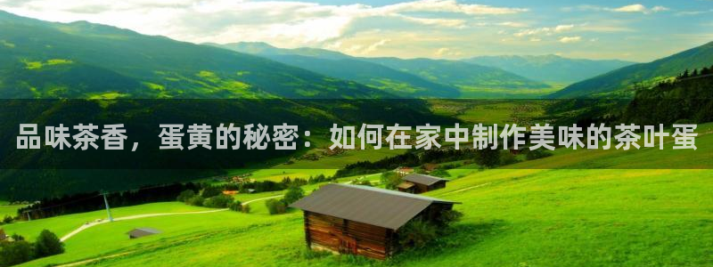 铜陵鸿运拍卖平台