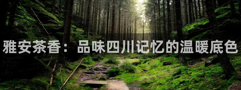 鸿运财富是什么平台