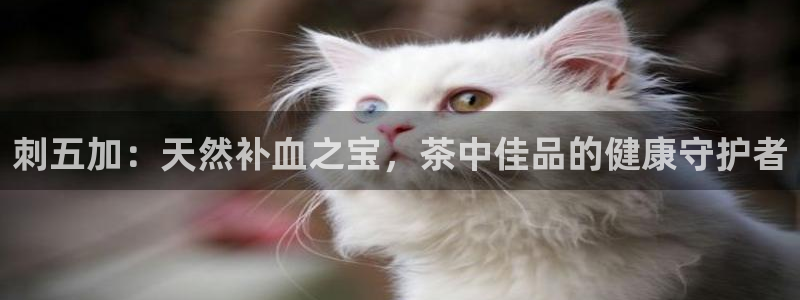 鸿运平台进入官网